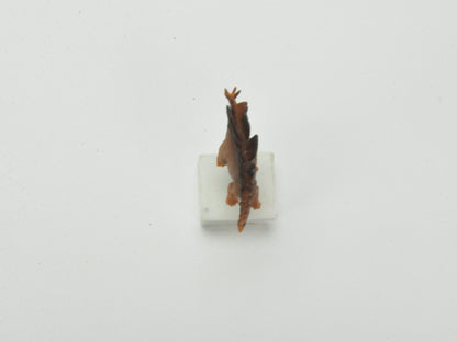 アニマルピック ステゴサウルス