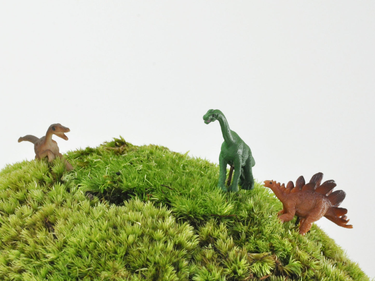 アニマルピック ステゴサウルス