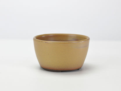 3号鉢(幅8～10cm)