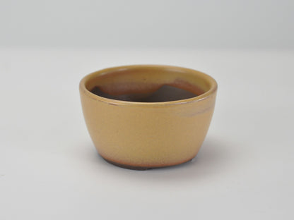 3号鉢(幅8～10cm)