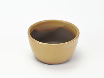 3号鉢(幅8～10cm)