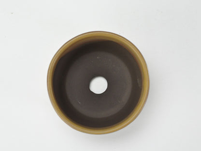 3号鉢(幅8～10cm)