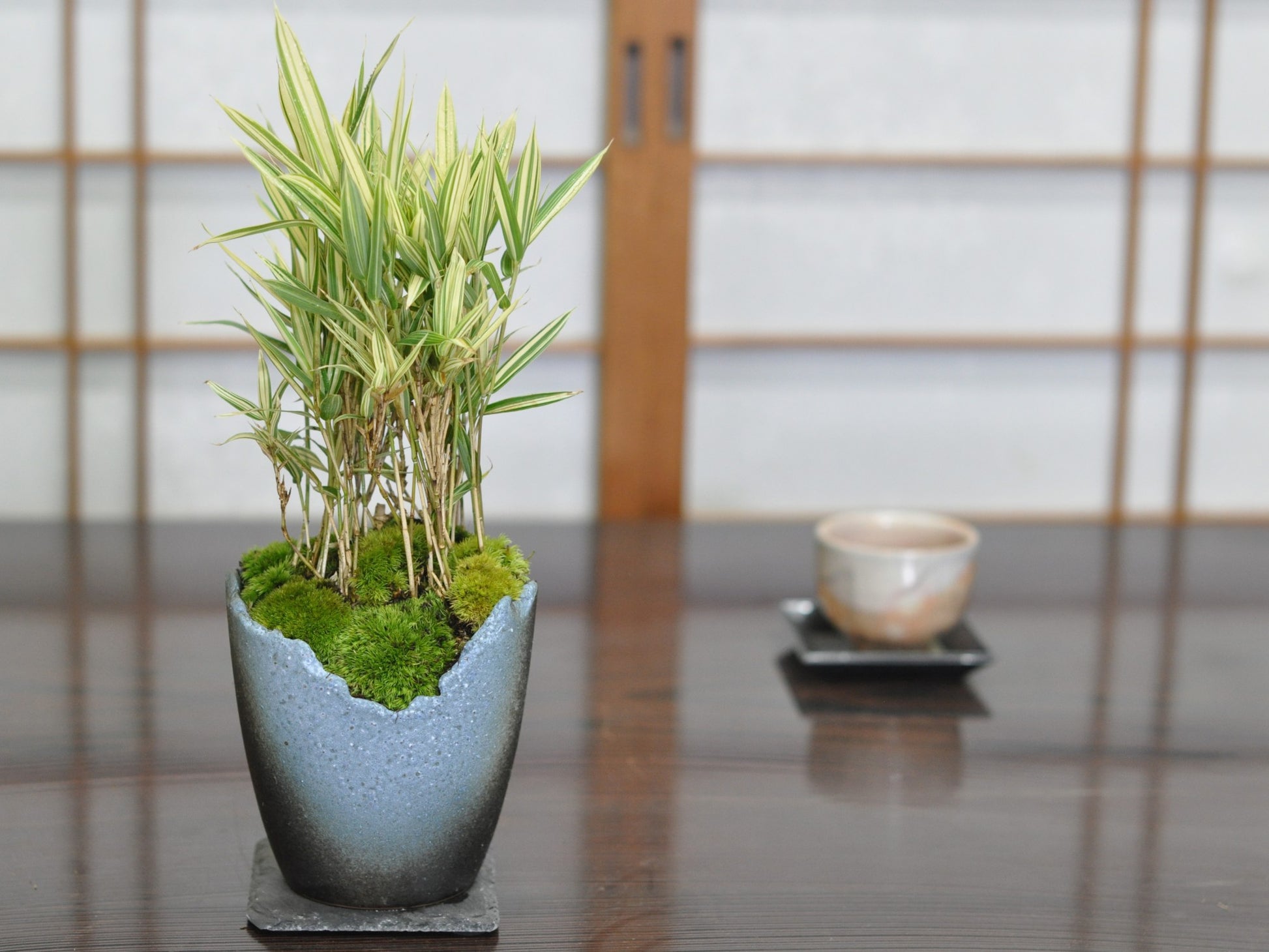 草