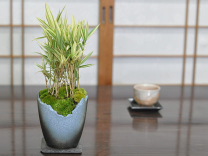 草