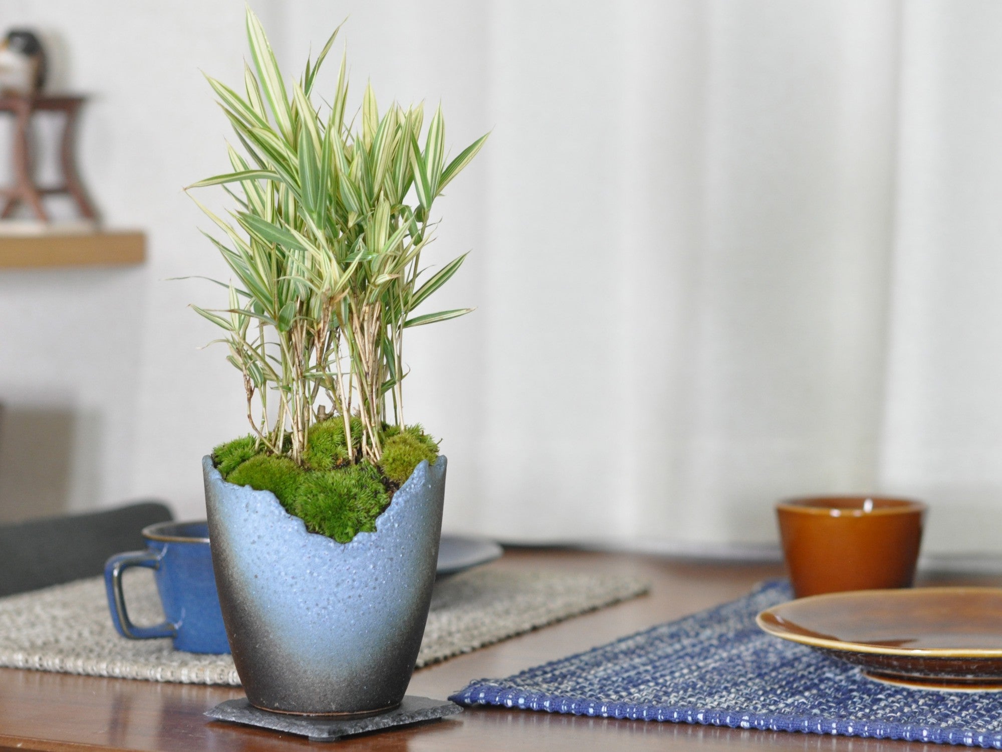 盆栽  鉢　変わり鉢 ☆盆栽日和☆ 【和鉢】 変わり鉢 13.4㎝