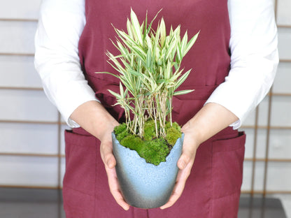 草