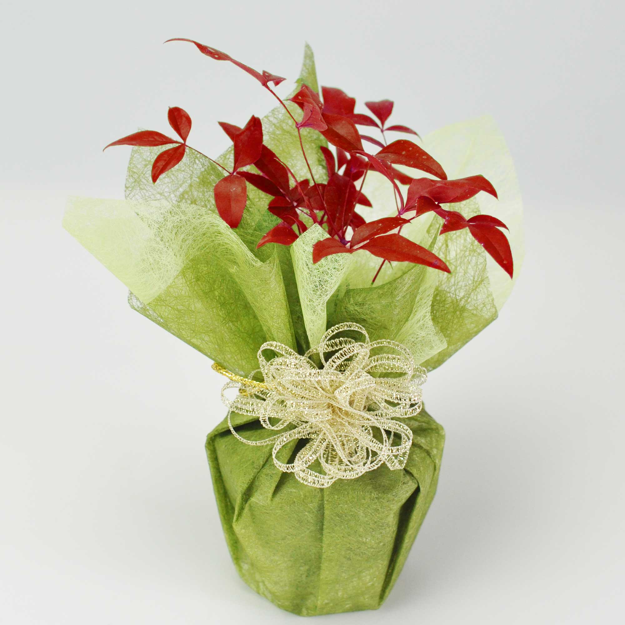 盆栽鉢　六角 盆栽 ミニ南天寸景 六角鉢の盆栽の販売｜盆栽妙 – 盆栽妙 本店