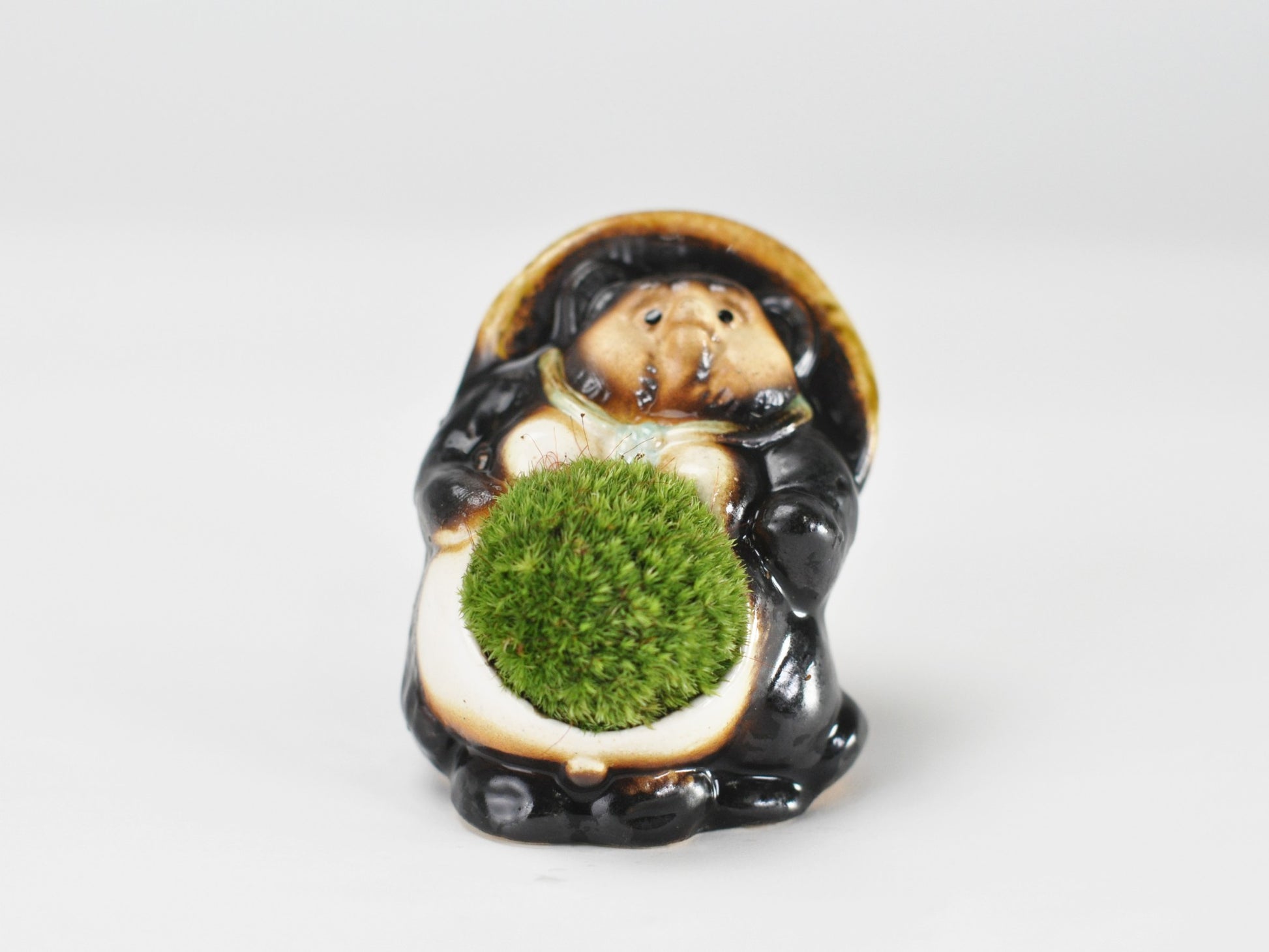 たぬきの苔盆栽