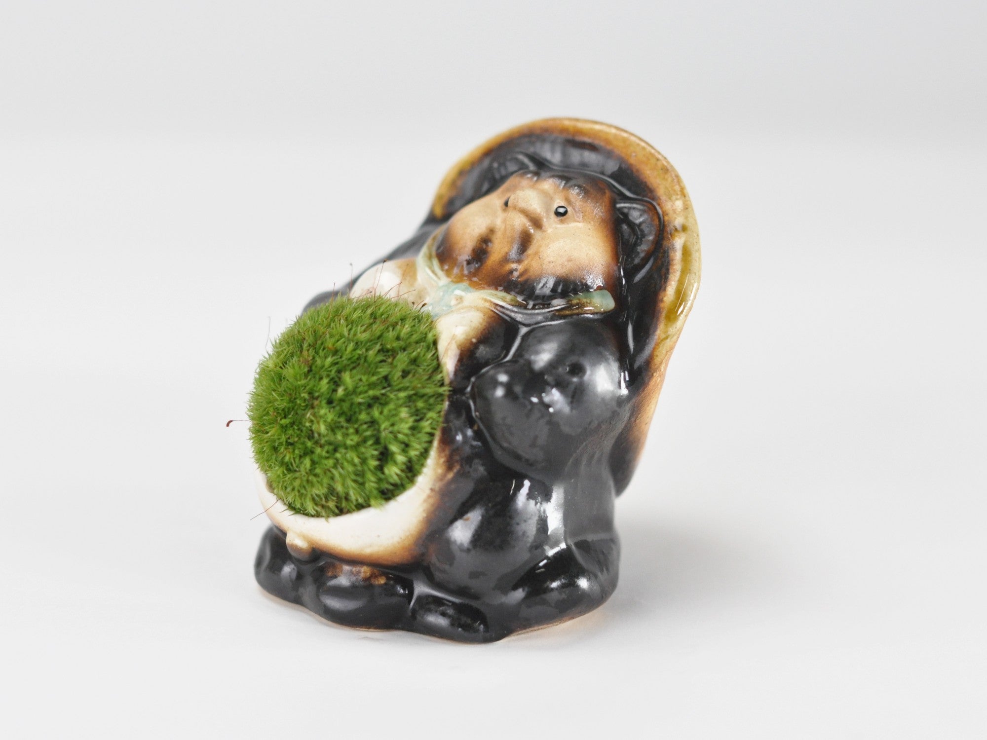 信楽焼福たぬきの苔盆栽 オスの盆栽の販売｜盆栽妙 – 盆栽妙 本店
