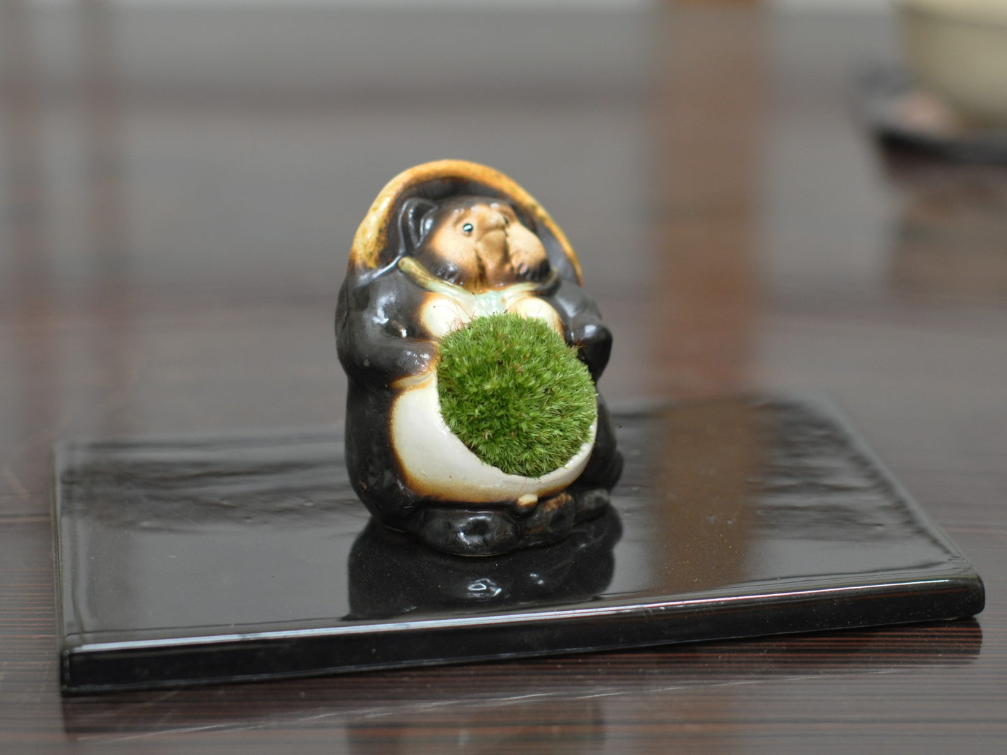 たぬきの苔盆栽