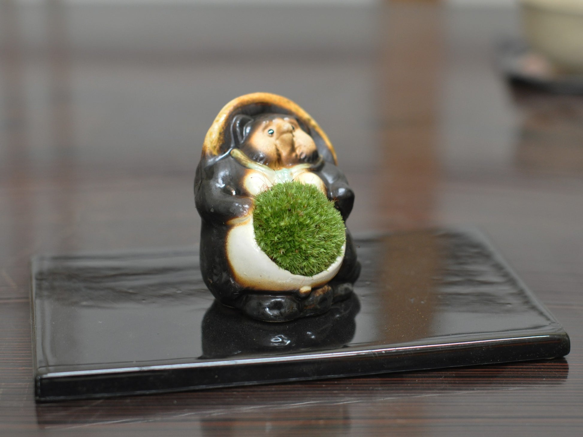 たぬきの苔盆栽