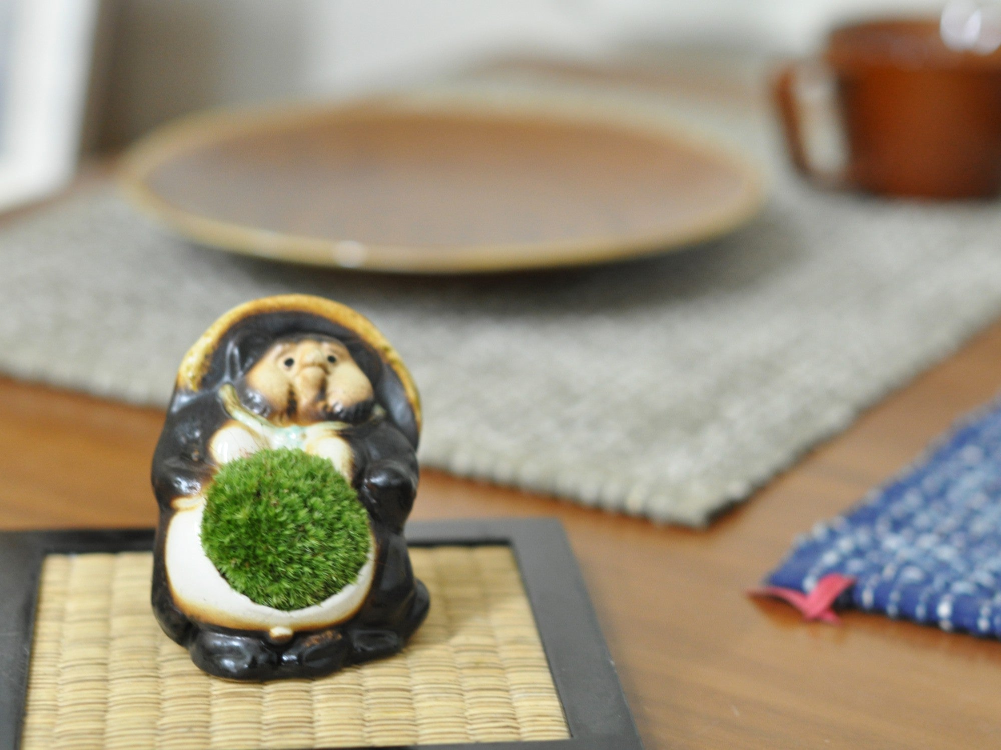 信楽焼福たぬきの苔盆栽 オスの盆栽の販売｜盆栽妙 – 盆栽妙 本店