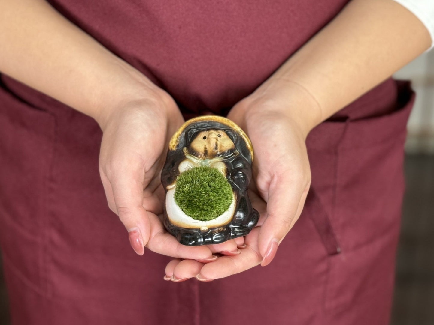 たぬきの苔盆栽