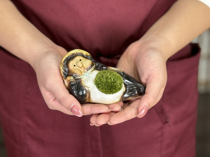 たぬきの苔盆栽
