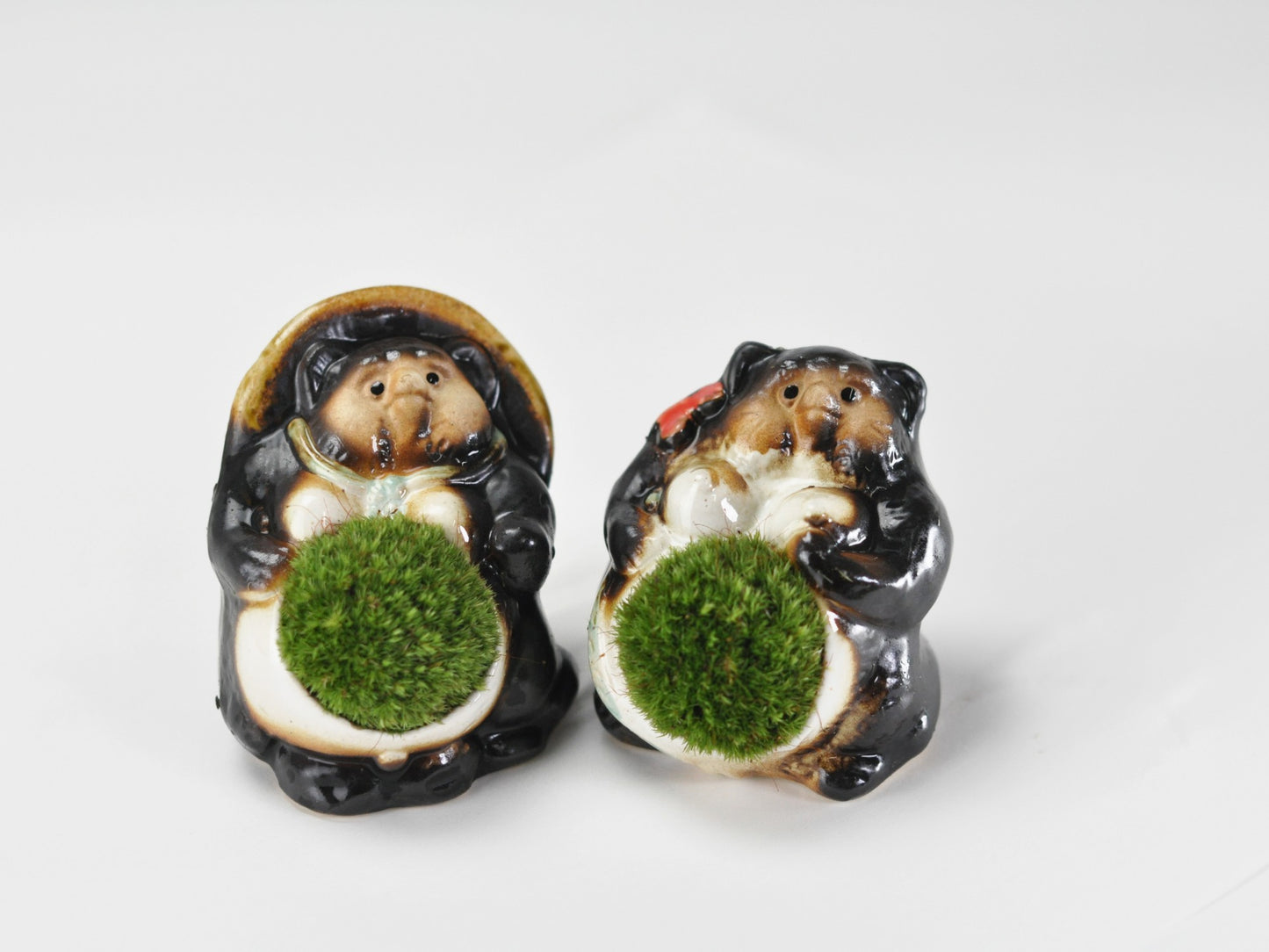 たぬきの苔盆栽