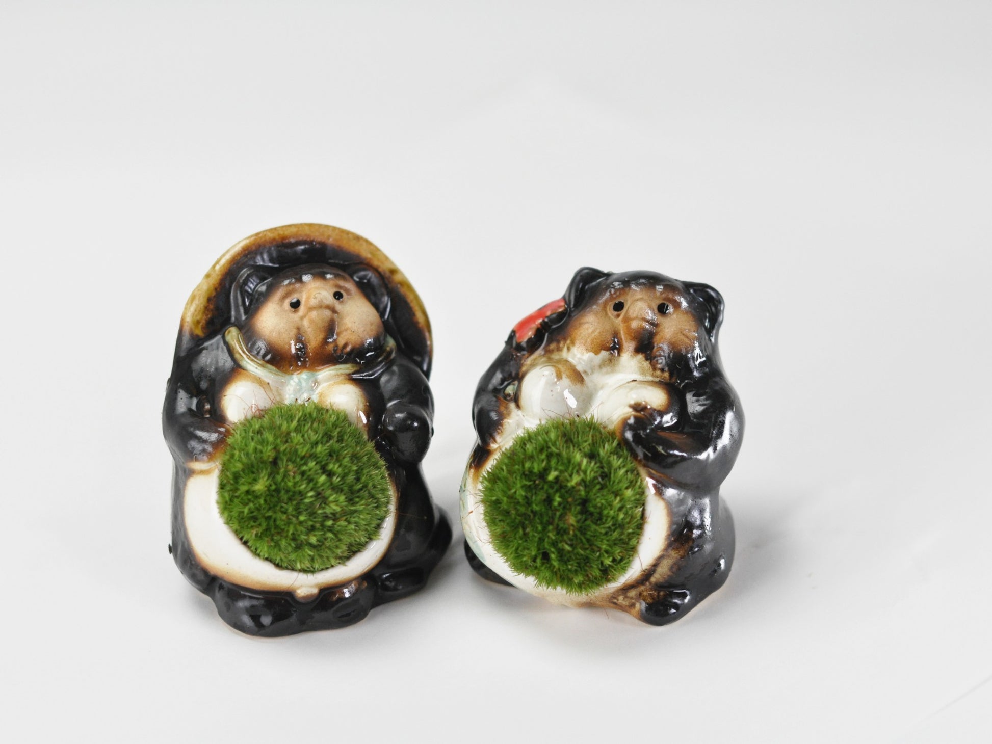 たぬきの苔盆栽