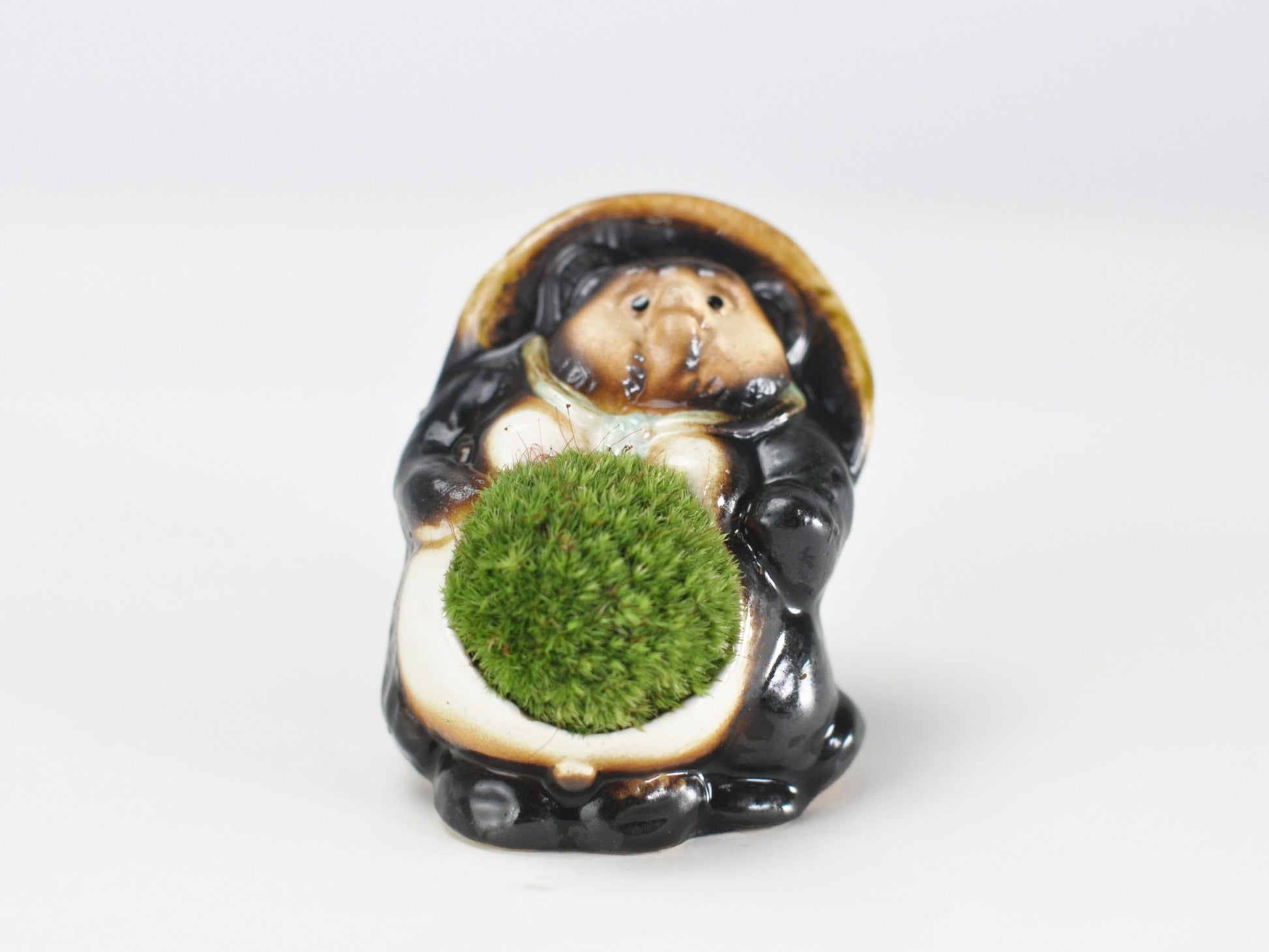 たぬきの苔盆栽