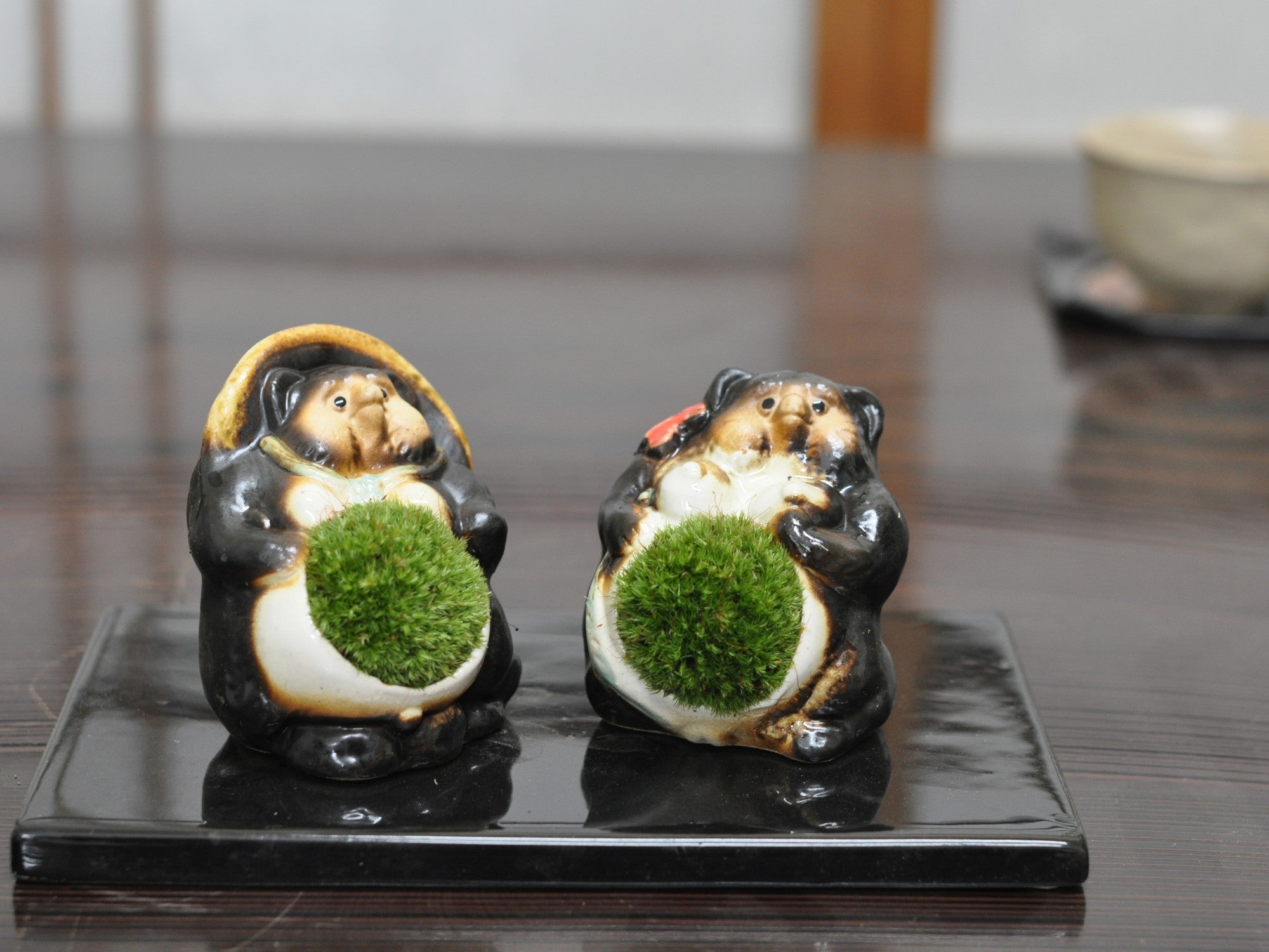 信楽焼福たぬきの苔盆栽 カップルの盆栽の販売｜盆栽妙 – 盆栽妙 本店