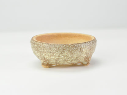 3号鉢(幅8～10cm)