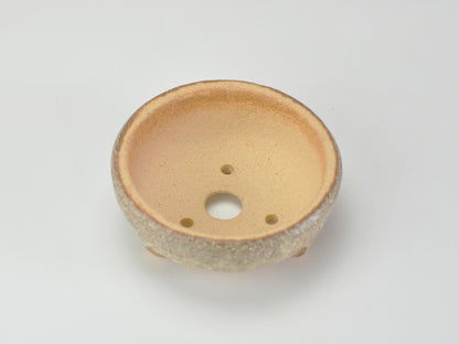 3号鉢(幅8～10cm)