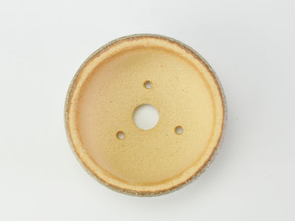 3号鉢(幅8～10cm)