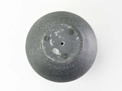 6号鉢(幅18～20cm)