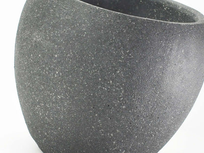 6号鉢(幅18～20cm)