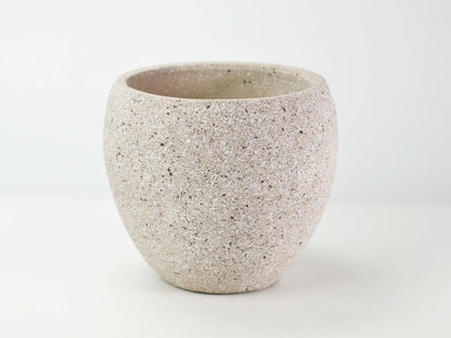 6号鉢(幅18～20cm)