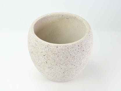 6号鉢(幅18～20cm)