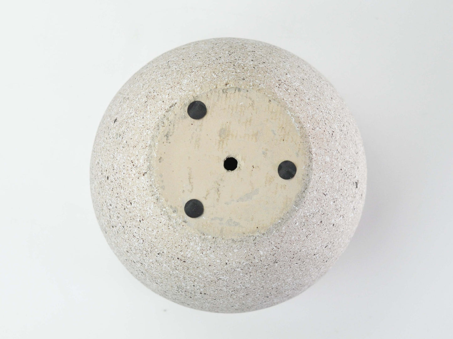 6号鉢(幅18～20cm)