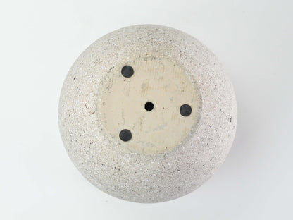 6号鉢(幅18～20cm)