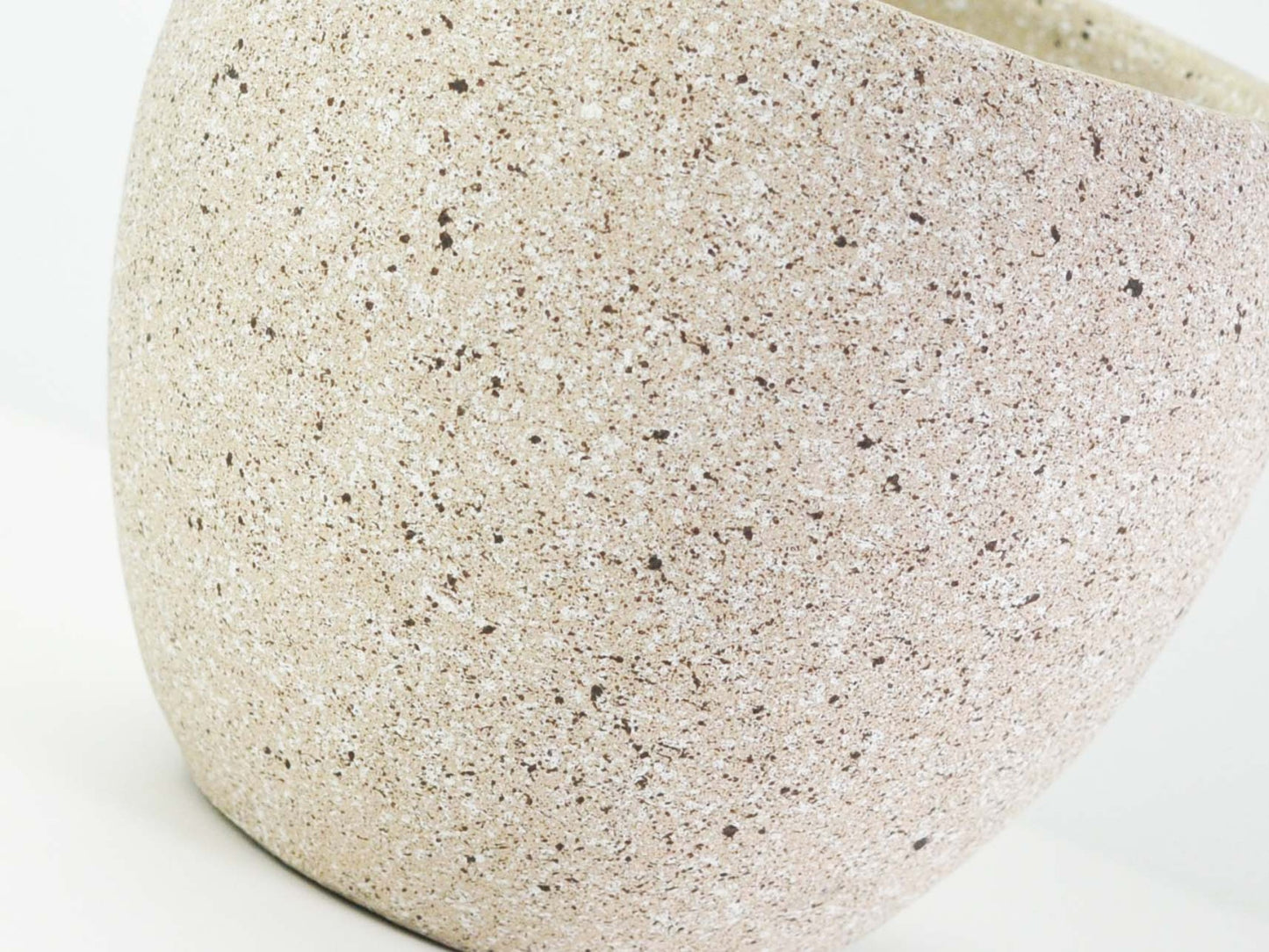 6号鉢(幅18～20cm)