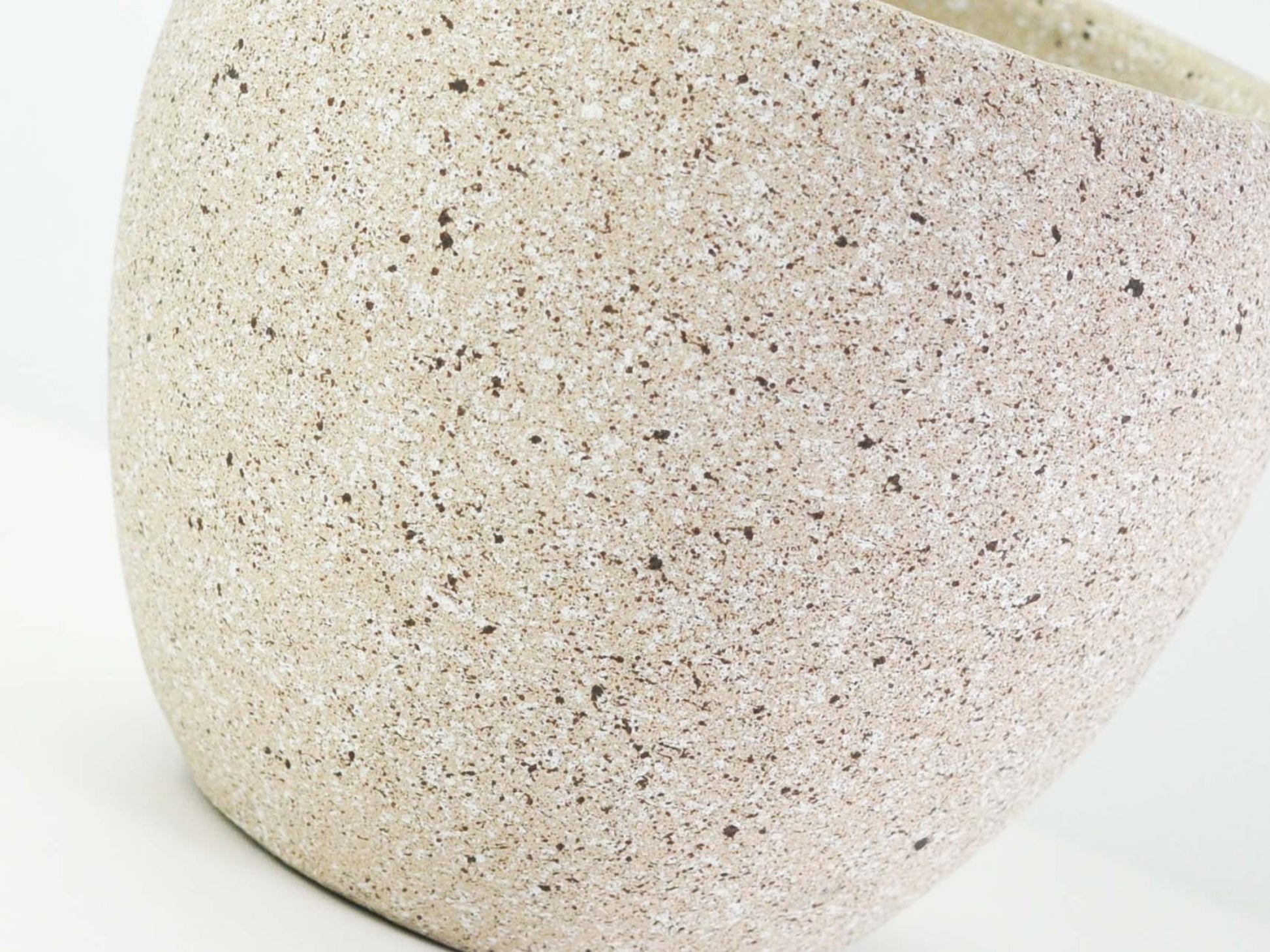 6号鉢(幅18～20cm)