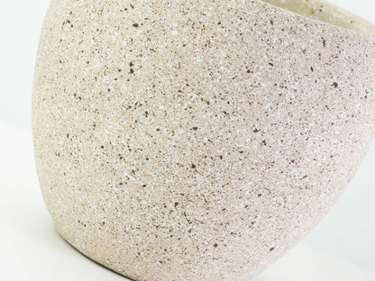 6号鉢(幅18～20cm)