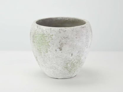 5号鉢(幅14～16cm)