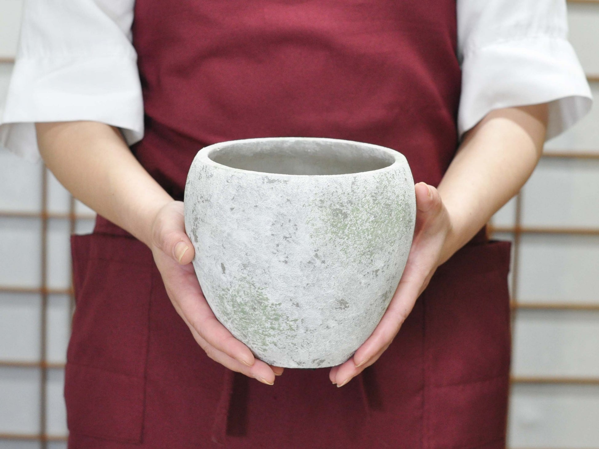  5号鉢(幅14～16cm)