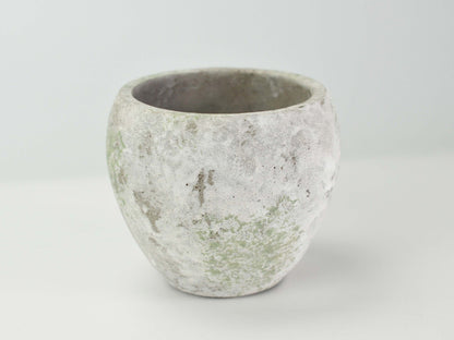 4号鉢(幅11～14cm)