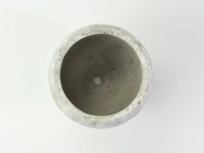 4号鉢(幅11～14cm)