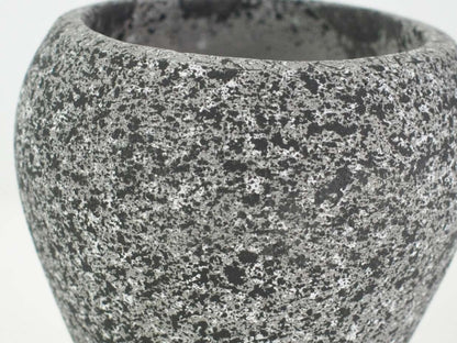 3号鉢(幅8～10cm)