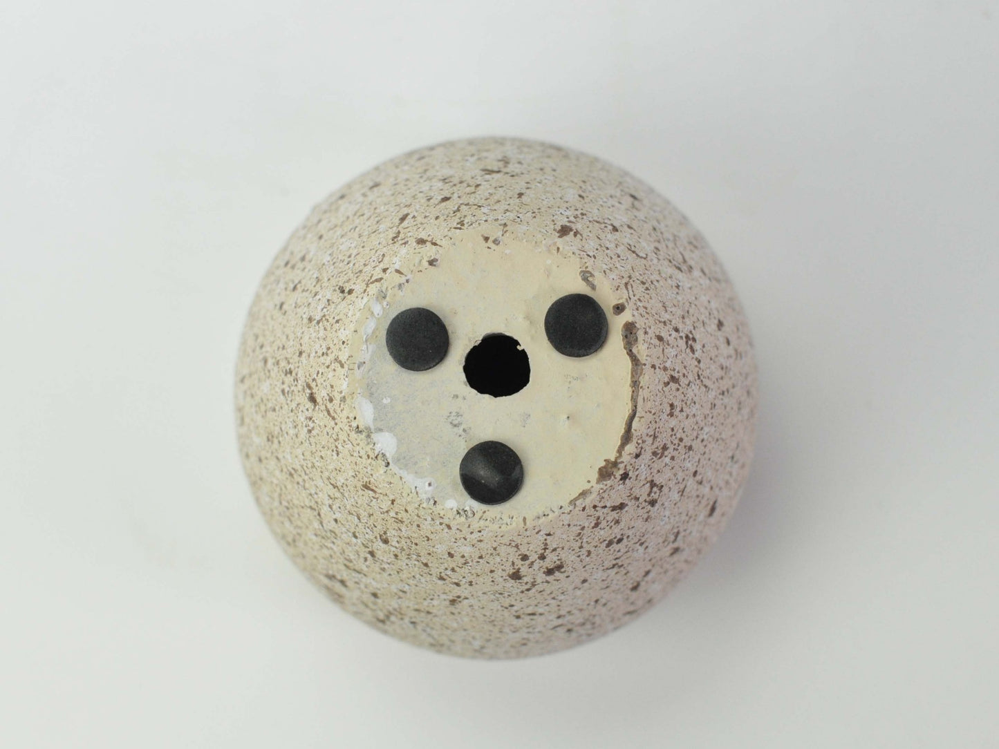 3号鉢(幅8～10cm)
