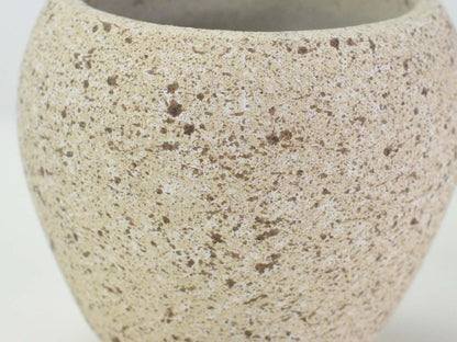 3号鉢(幅8～10cm)