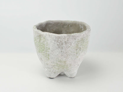 3号鉢(幅8～10cm)