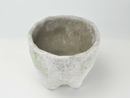 3号鉢(幅8～10cm)