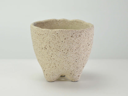  5号鉢(幅14～16cm)