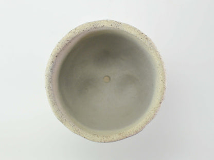  5号鉢(幅14～16cm)