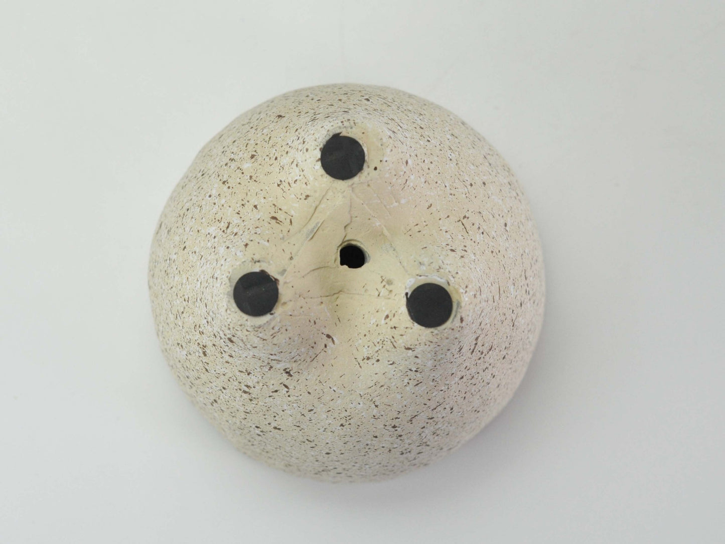  5号鉢(幅14～16cm)