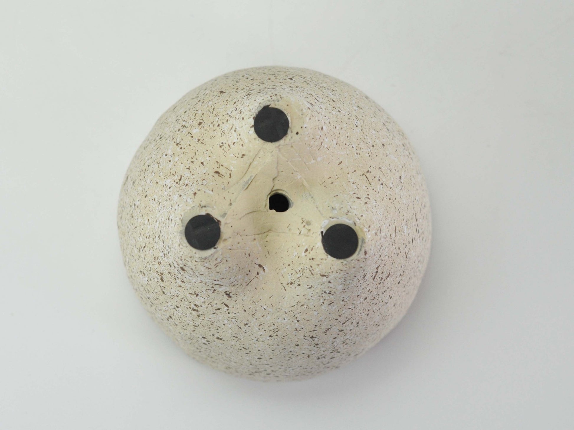  5号鉢(幅14～16cm)