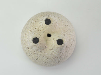  5号鉢(幅14～16cm)