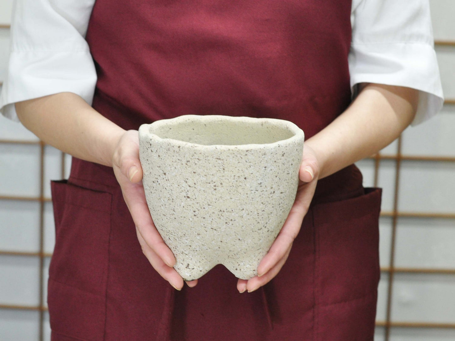  5号鉢(幅14～16cm)