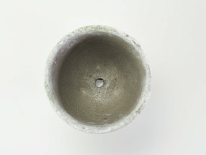 3号鉢(幅8～10cm)